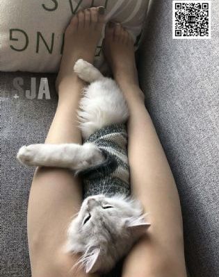 天堂av亚洲a∨网站_蓝光日韩免费观看