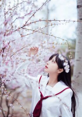 欧美硬核电影大全_1080免费在线播放